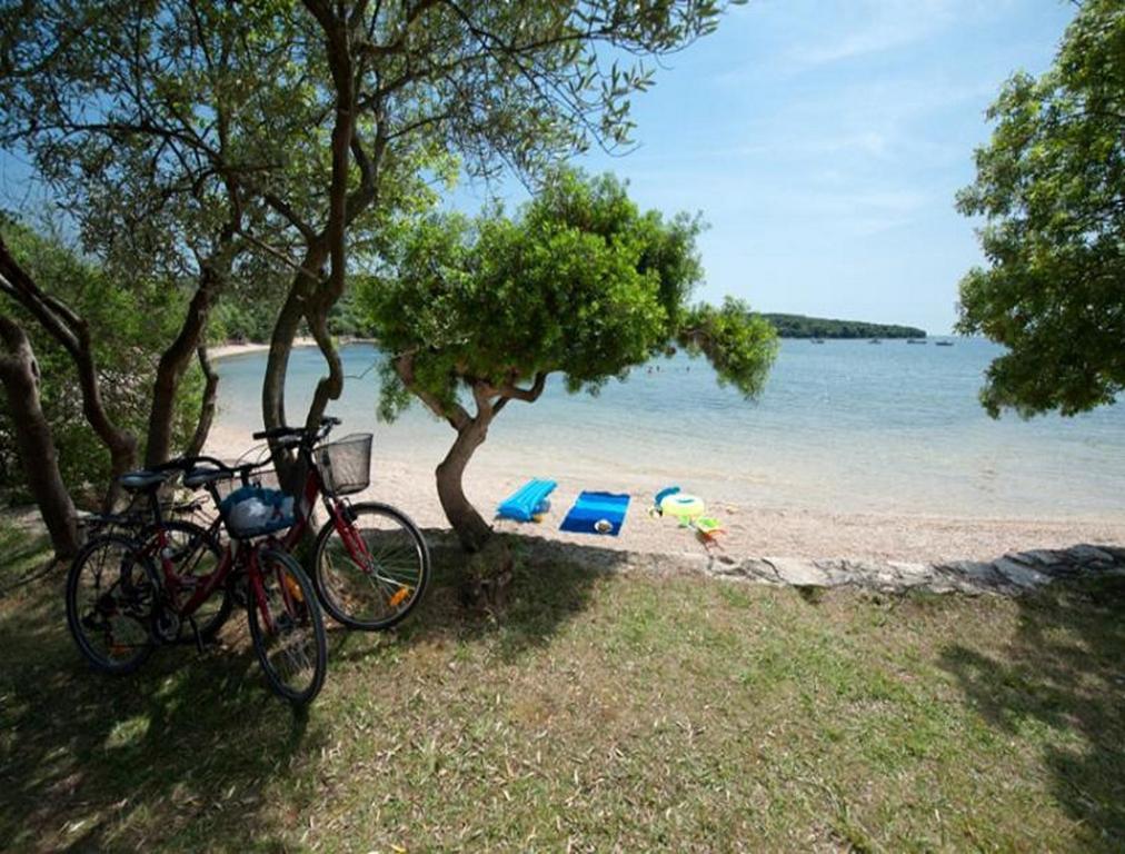 Appartement Casa Leona à Rovinj Extérieur photo